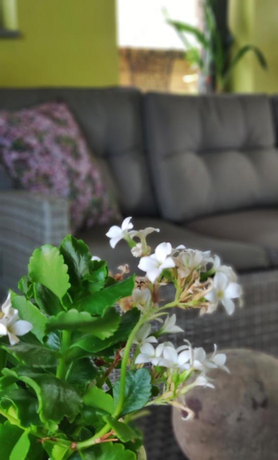 B&B Aquavert Tournai Ngoại thất bức ảnh